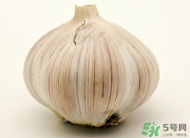 薺菜和大蒜能一起吃嗎？薺菜和蒜頭能一起吃嗎？