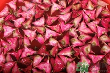 3月份的菱角可以吃嗎？菱角什么時(shí)候吃最好？