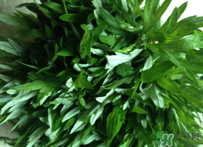 清明草是艾草嗎？清明菜是什么草？