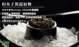 至本是什么牌子？至本什么檔次？