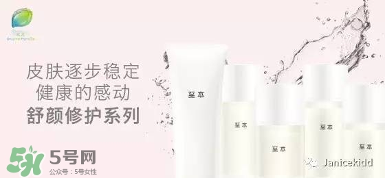 至本是什么牌子？至本什么檔次？