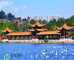4月份去昆明穿什么？四月份去昆明穿什么衣服？