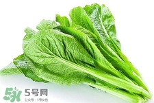 春分要吃春菜嗎？春分為什么要吃春菜？
