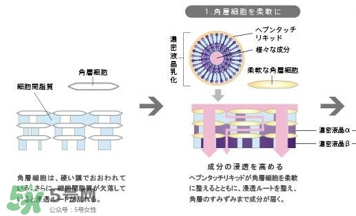 pola極光精華怎么用？pola極光精華使用方法