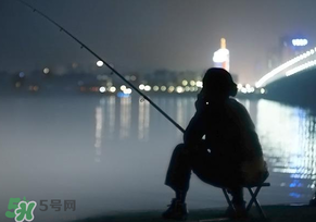 春分能夜釣嗎？春分能釣鯉魚嗎？
