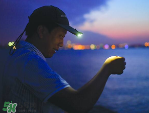 春分能夜釣嗎？春分能釣鯉魚嗎？