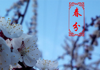 春菜為什么會苦？春菜發(fā)苦能吃嗎？