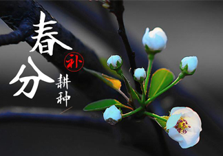 春分吃春菜有什么好處？春菜有什么營(yíng)養(yǎng)價(jià)值？