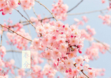 春分吃什么？春分吃什么會(huì)更加健康？