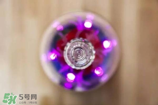 camino美女與野獸音響多少錢？camino玫瑰藍(lán)牙音箱價格