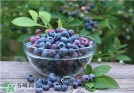 藍(lán)莓一天吃多少為宜？藍(lán)莓每天吃多少合適？