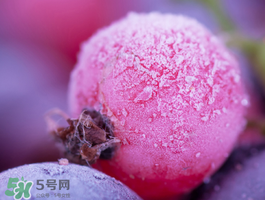 藍(lán)莓變紅可以吃嗎？藍(lán)莓發(fā)紅是壞掉了嘛？