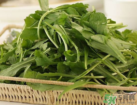 薺菜有毒嗎？吃薺菜會中毒嗎？