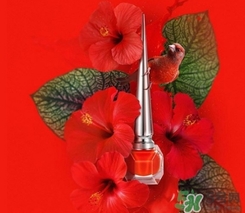 cl指甲油多少錢？cl紅底鞋指甲油專柜價(jià)格