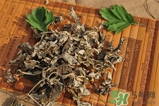 艾草是哪個季節(jié)的？艾草是什么季節(jié)采摘？