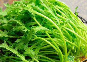 皇帝菜是茼蒿嗎？皇帝菜和茼蒿的區(qū)別