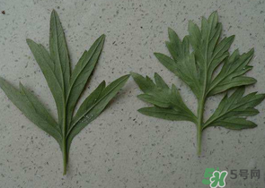 ?蒿子怎么去除苦味？?蒿子粑粑苦是什么原因？