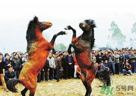 三月三有什么禁忌？三月三有什么講究？