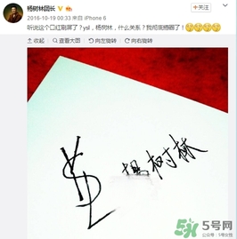 楊樹林口紅是什么牌子？楊樹林口紅是哪個(gè)國(guó)家的？