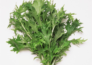 艾草是寒性的嗎？艾草是涼性的嗎？