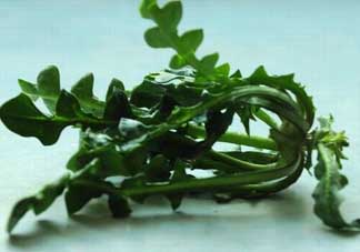 乙肝能吃薺菜嗎？乙肝病人可以吃薺菜嗎？