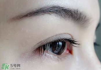 serge lutens蘆丹氏睫毛膏怎么樣？蘆丹氏睫毛膏好不好用？