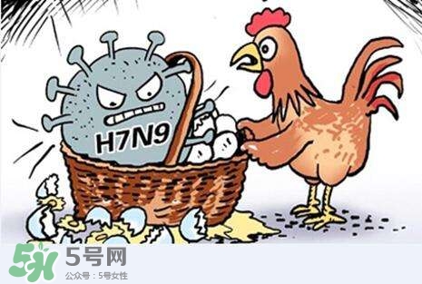 怎樣預(yù)防禽流感？如何預(yù)防禽流感