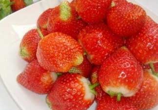 草莓和菠蘿可以一起吃嗎？草莓和菠蘿能一起吃嗎？