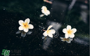 三月份為什么一直下雨？2017年三月份為什么雨多？