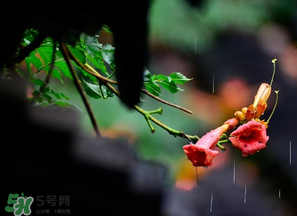 2017年梅雨季節(jié)是幾月？2017年梅雨季節(jié)是什么時候？