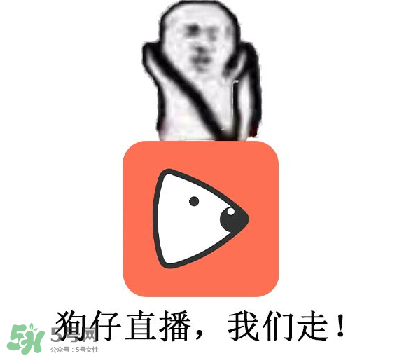 黃鱔為什么火了？黃鱔我們走為什么火了？