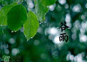 2017年谷雨是幾月幾號？2017年谷雨是哪一天？