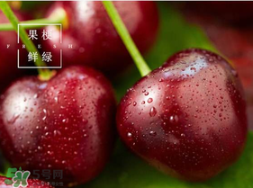 美早櫻桃多少錢一斤？美早櫻桃多少錢一斤2017？