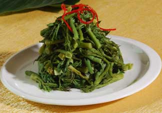 蕨菜什么人不能吃？哪些人不能吃蕨菜？