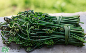 蕨菜能吃嗎？蕨菜可以吃嗎？
