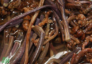 蕨菜能吃嗎？蕨菜可以吃嗎？