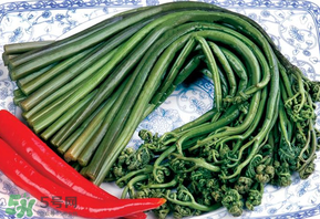 蕨菜有毒嗎？吃蕨菜會中毒嗎？