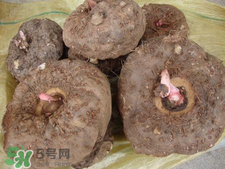 魔芋什么味道？怎么去除魔芋味道？