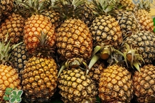 過(guò)敏性鼻炎可以吃菠蘿嗎？過(guò)敏性鼻炎能不能吃菠蘿？
