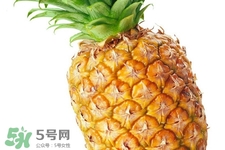 過(guò)敏性鼻炎可以吃菠蘿嗎？過(guò)敏性鼻炎能不能吃菠蘿？