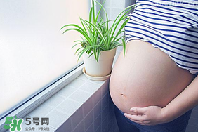 孕婦可以做美甲嗎？美甲對孕婦有什么影響？