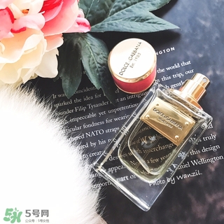 dolce gabanna香水哪款好聞？DG杜嘉班納香水推薦