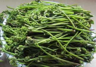 吃蕨菜有什么好處？吃蕨菜的好處