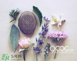 2017固體香膏哪個(gè)牌子好？2017固定香膏排行榜