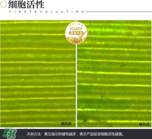 cpb保濕露多少錢？cpb保濕露專柜價格