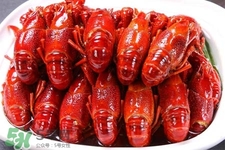 吃小龍蝦可以喝紅酒嗎？紅酒和龍蝦能一起吃嗎？