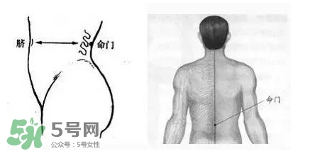 艾灸可以去黑眼圈嗎？艾灸可不可以去黑眼圈