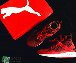 puma襪子鞋尺碼怎么選？彪馬襪套鞋尺碼對(duì)照表