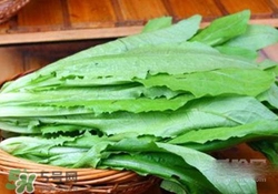 油麥菜糖尿病能吃嗎？糖尿病能吃油麥菜嗎？
