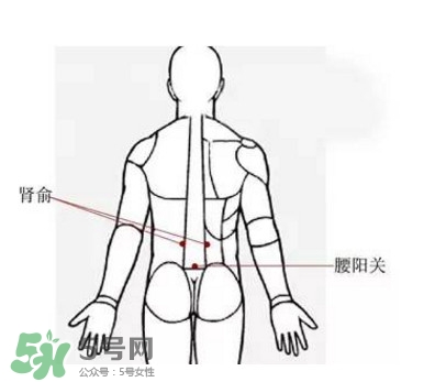 艾灸能減肥嗎？艾灸能不能減肥